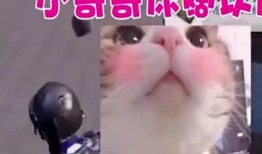 刺激战场搞笑爆料视频