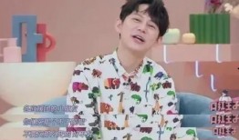 最新爆料何炅视频播放,揭秘幕后的真实瞬间